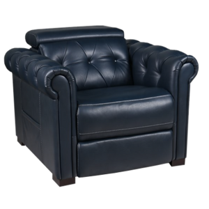 Theorem Somerset Power Lift Recliner